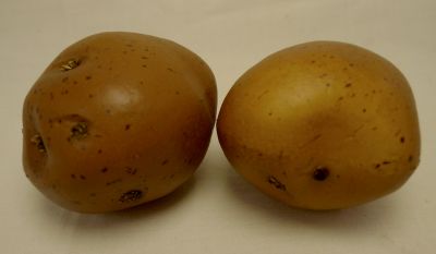 Small Golden Brown Potato